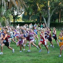 开云体育网址-羽毛球比赛战术模拟软件上线试运行，模拟羽毛球运动