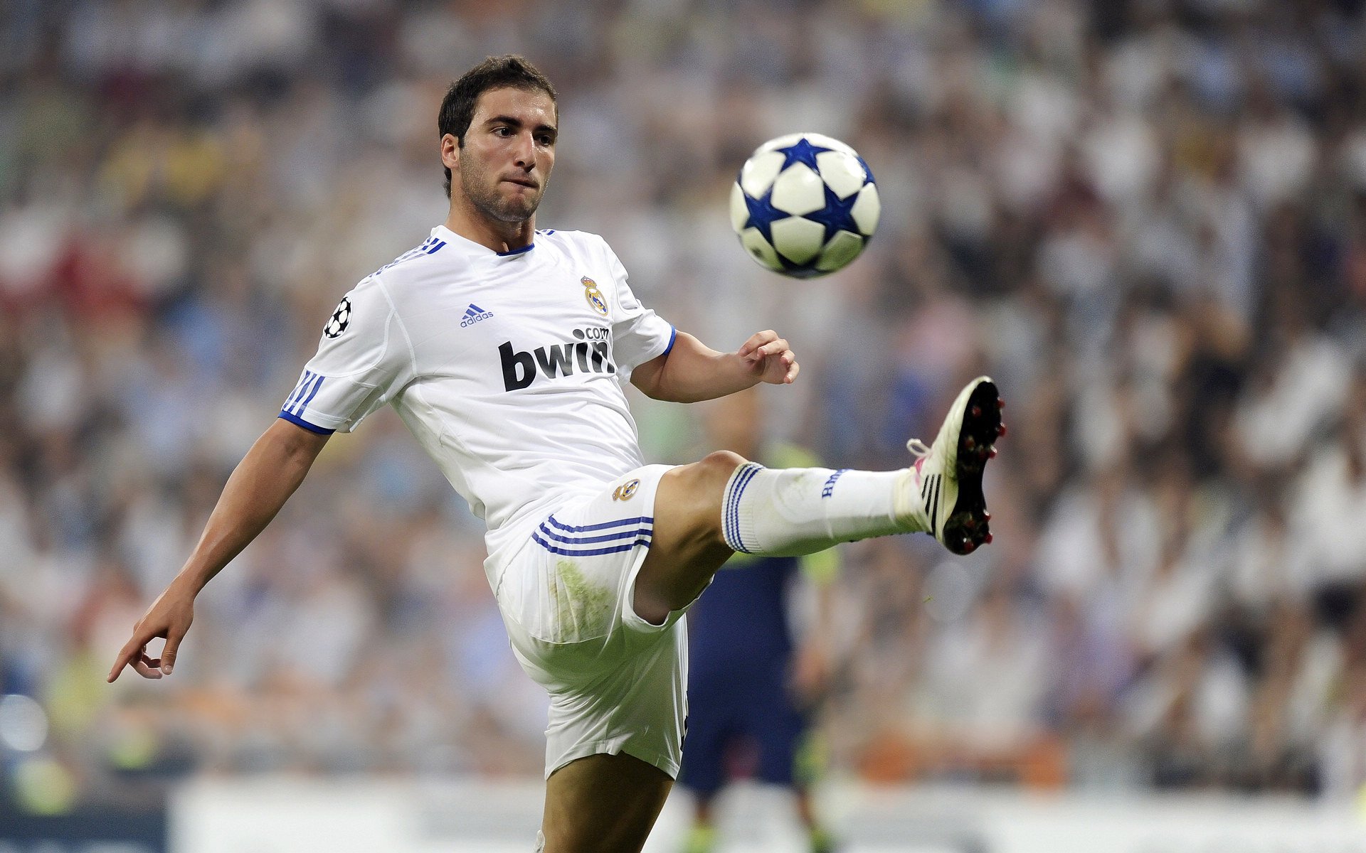 哥伦比亚马术协会与非洲马术协会开展技术援助项目,提升当地水平。