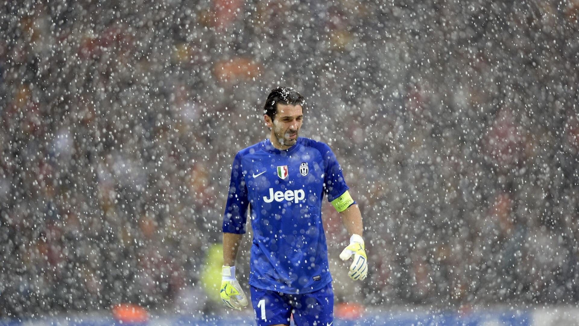 澳女将破全国纪录再创辉煌,澳网女冠军